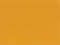 2003 Nissan Solar Yellow